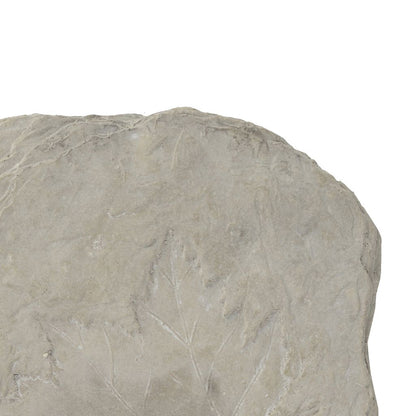 Concrete Fossil Accent Stone with Maple Leaf Imprint, White - View 2